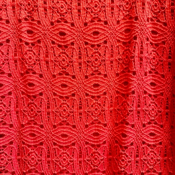 NWT Stretch Lace Dress - Picture 3 of 9